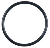 KS Tools 515.1200-R036P O-ring