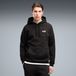 PUMA ESS Small No. 1 Logo Sweat à capuche FL, 3XL