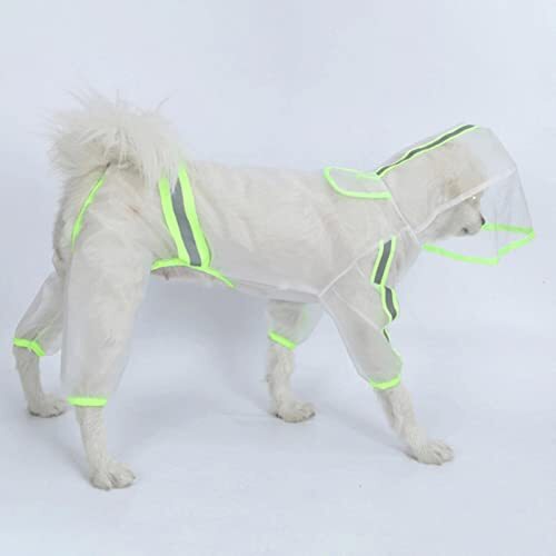 JRKJ Hond huisdier regenjas winddicht reflecterende jumpsuit regenjas kat outdoor kleding transparant met kap puppy Producten