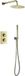 BES LED Inbouw Thermostatische Regendoucheset - Leoni - Regendouchekop 25 cm - Geborsteld Goud - PVD Coating