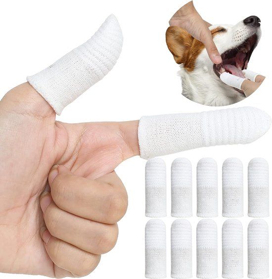 10 stuks - Tandenborstel Voor Huisdieren - Teddy Hondenborstel - Slechte Adem Tandsteen - Tanden Verzorgingstool - Hond Kat Tanden Schoonmaken -Voor Huisdieren