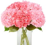 Ibenzoa® Hortensia bloemenboeket kunstmatig pour mariages et décoration intérieure - Lot de 4, rose, double couleur réaliste, 40 cm de haut