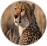Merkloos / Sans marque Cheetah Schilderij Rond - Aluminium - 40x40 cm