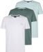Petrol Industries Heren 3-pack jersey T-shirts Salsa - Multicolor - Maat L