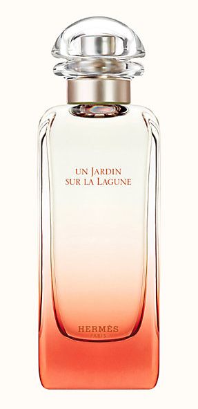 Hermes Eau de Toilette / 100 ml / Unisex