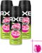 Axe Vaporisateur Epic Fresh 150 ml - 3 Stuks