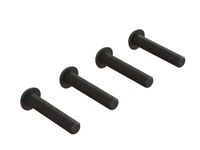 Horizon Button Head Screw M5x25mm (4) Metaal