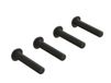 Horizon Button Head Screw M5x25mm (4) Metaal