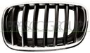 PRASCO Kühlergitter BM8222004 links | Compatibel met: BMW X5
