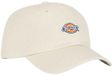 Dickies Hardwick Pet Beige