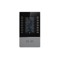 Grandstream GBX20 - Displays voor nummerweergave - Grijs