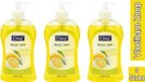 Elina Vloeibare zeep 500ml Citroen met dispenser
