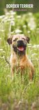 Magnet & Steel Border Terrier Kalender 2027 Slimline Wandkalender
