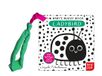 Baby's Ladybird Baby's Buggy Book