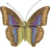 Decoris Insectenhotel - vlinderhuis - bruin/ geel - 20 cm