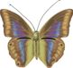 Decoris Insectenhotel - vlinderhuis - bruin/ geel - 20 cm