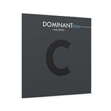Thomastik-Infeld DOMINANT PRO C4 4/4 medium DP24