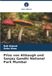 Pilze Alibaugh Pilze von Alibaugh und Sanjay Gandhi National Park Mumbai: DE