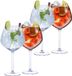 Alpina Gin Tonic cocktailglazen - 8 stuks - 730 ml - Transparant Glas
