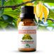 Zenful Ylang Ylang Olie - 100% Biologisch & Puur - Etherische olie - Natuurlijk - Aromatherapie - 10 ml