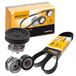Contitech 6PK1318WP1 set riemenaccessoires + waterpomp