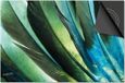 Dietrix Inductie Beschermer - 78x52cm - Jungle - Veren