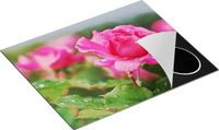 Chefcare Inductie Beschermer Roze Roos 65x52cm