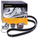 CONTITECH CT1065WP1 waterpomp + tandriemenset