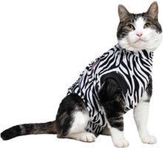 Medical Pet Shirt Kat Zebra Print - XXS