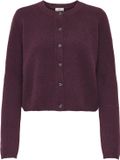 JDY JDYCHLOE L/S CARDIGAN KNT Dames Trui