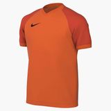 NIKE Y Nk Df Trophy Vi Jsy Ss T-shirt, uniseks, kinderen