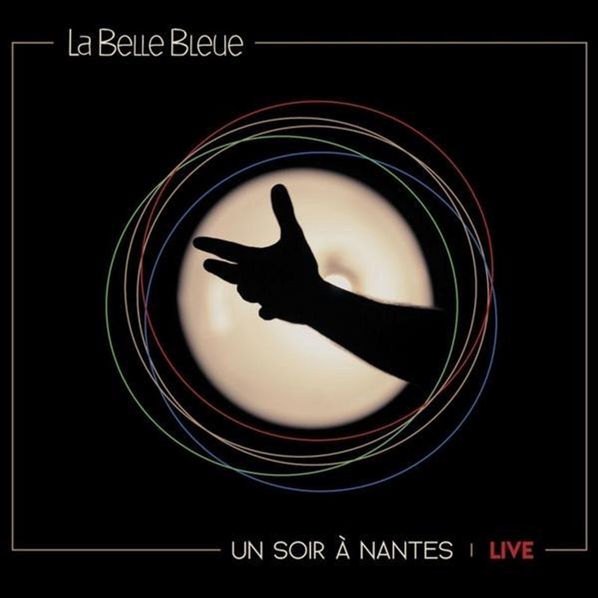 Sonic Un Soir A Nantes