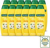 Palmolive 12 x Shampoo Chaque Jour Extrait de Camomille 350 ml