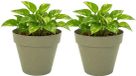 Mega Collections Plantenpot / bloempot - 2x - kunststof - olijfgroen - binnen/buiten - D20 x H17 cm