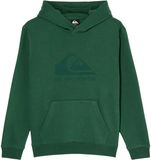 Quiksilver Comp Logo Hoodie Groen 10 Years Jongen