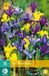 jub Bol X 15 Iris species mix