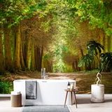 Papier peint panoramique - Chemin forêt - 390 cm x 260 cm