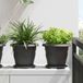 Maison Exclusive - Pot de fleurs rond, set de 6 pièces, noir, Ø 17,5 x 2 cm, plastique