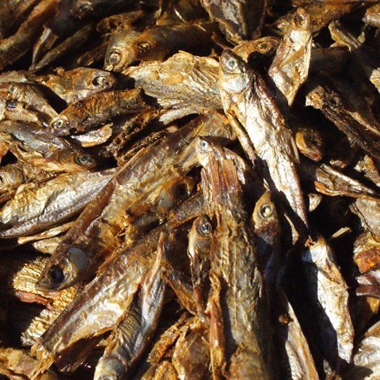 Voervoorvis Gedroogde Visjes 4-7cm 5 Liter - Schildpadvoer