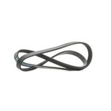 MAPCO Keilrippenriemen 241163