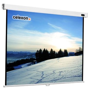 Celexon 1090045 - Projectiescherm - 220 x 220 cm - 1:1 - Zwart/Wit