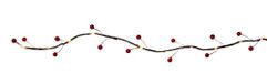 Talking Tables BC-Light Redberry Kerstfeestaccessoires, tafeldecoratie, lichtslinger, bierlichtsnoer, werkt op batterijen, 2 m, veelkleurig