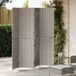 vidaXL Kamerverdeler Grijs 195 x 180 cm Poly Rattan