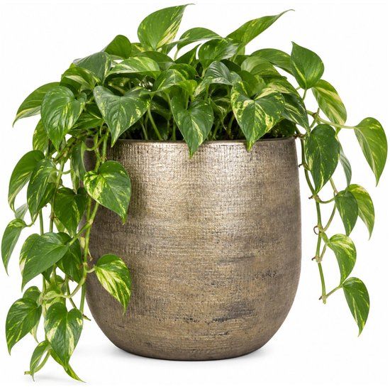 Floran Luxe plantenpot goud Mira 35 cm - Keramiek