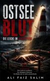 Ostseeblut – Die Leiche im Leuchtturm: Ein Küstenkrimi