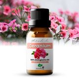 Zenful Geranium olie - 100% bio & puur - Natuurlijk - Etherische olie - Geur - 10ml