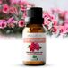 Zenful Geranium olie - 100% bio & puur - Natuurlijk - Etherische olie - Geur - 10ml