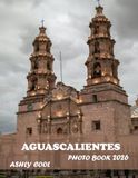 Aguascalientes: Aguascalientes: Cool Pictures That Create An Idea For You About Bordeaux - Perfect Gift for Tourism & Travel Lovers, Relaxing & Meditation