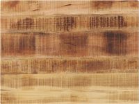 vidaXL Tafelblad rechthoekig 80x50x2,5 cm massief ruw mangohout
