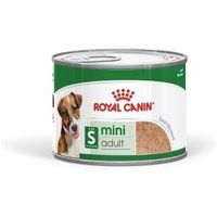 ROYAL CANIN Mini Adult Mousse 12x195 g